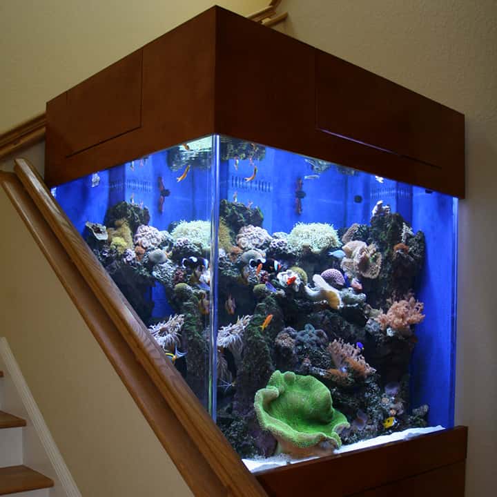 Aquarium Installation in Sarasota, FL.